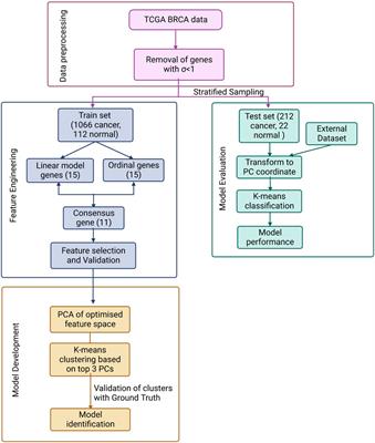 BrcaDx: precise identification of breast cancer from expression data using a minimal set of features